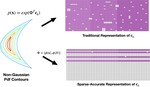 Leveraging Hamiltonian Structure for Accurate Uncertainty Propagation